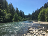 July Guide