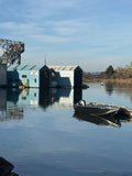 Fishin’ Buddy Charter