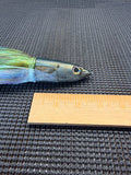 Niiyama 9” scad