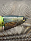 Niiyama 9” scad