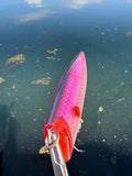 Tomic Lures 402
