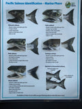 June Charter