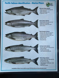 May Charter